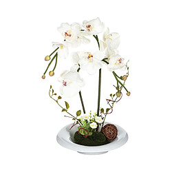 Atmosphera, Createur D'Interieur Composition orchidée en vase H46 Blanc - Atmosphera 