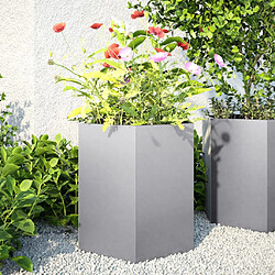 vidaXL Jardinières 2 pcs hexagone 46x40x45 cm acier galvanisé