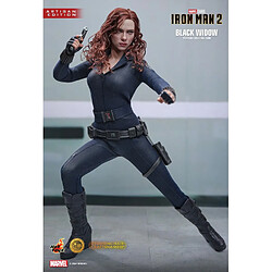 Acheter Hot Toys MMS757B - Marvel Comics - Iron Man 2 - Black Widow