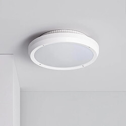 Ledkia Plafonnier Rond Extérieur Curio IP65 Blanc Ø300 mm Blanc