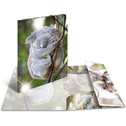 HERMA Chemise à élastiques 'koala', PP Glossy, A3 ()