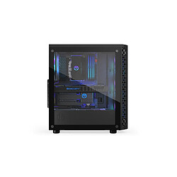 Boîtier ATX/mATX semi-tour Endorfy Signum 300 ARGB Noir Multi pas cher