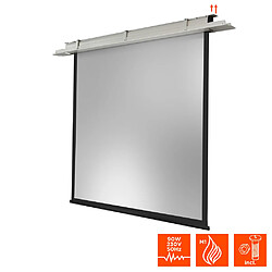 Acheter Ecran encastrable au plafond celexon Expert motorisé 250 x 250 cm