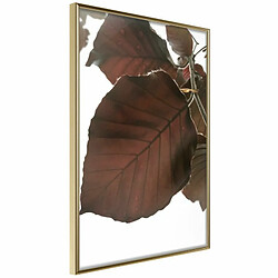 Paris Prix Affiche Murale Encadrée Burgundy Tilia Leaf 20 x 30 cm Or