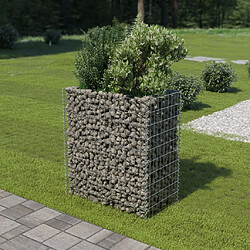 Maison Chic Jardinière,Lit surélevé - Bac à fleurs - pot de fleur à gabion Acier galvanisé 90x50x100 cm -GKD82359