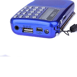 Universal Portable Radio Support MP3 Music TF/SD Card LCD Screen CM Radio CD DVD Mobile Phone Laptop Hot Sale | Portable Radio | Radio