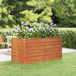 Maison Chic Jardinière,Lit surélevé de jardin - Bac à fleurs - pot de fleur rouillé 160x80x77 cm acier corten -GKD67955