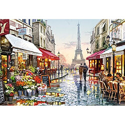 castorland Magasin de fleurs Puzzle (1500 piAces)