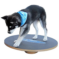 FitPAWS Plateau d'équilibre 50 cm Noir