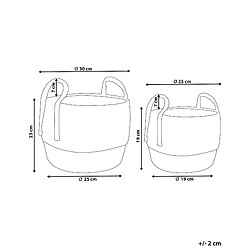 Avis Beliani Lot de 2 pots de fleurs PALADJU Osier Naturel