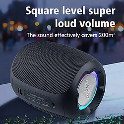 Avis Universal Zélote S53 haut-parleur sans fil portable Bluetooth colonne étanche Hifi sans perte de haut-parleur stéréo