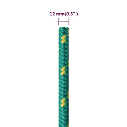 vidaXL Corde de bateau Vert 12 mm 250 m Polypropylène pas cher