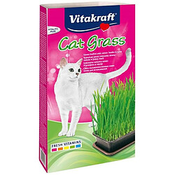 Collation pour Chat Vitakraft Cat Grass