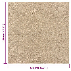 vidaXL Tapis ZIZUR 120x120 cm aspect de jute intérieur et extérieur pas cher