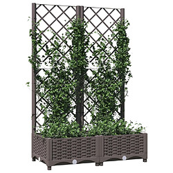 Avis Maison Chic Jardinière,Bac à fleurs avec treillis - pot de fleur Marron 80x40x121,5 cm PP -GKD26517