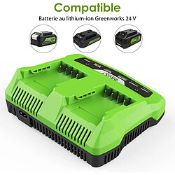 Chargeur de Batterie 24 V pour Greenworks Tools 24 V Compatible avec Toutes Les Batteries de la série Greenworks 24 V 2A