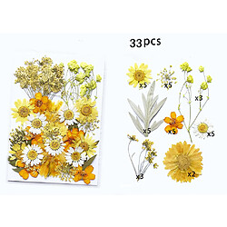 1 Sac Pressé Mixte Organics Fleurs Séchées Naturelles 33pcs Fleurs Séchées