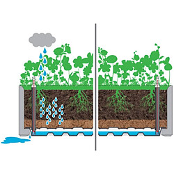 Avis vidaXL Lit surélevé de jardin et treillis et système d'arrosage Gris