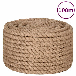 vidaXL Corde 100 % jute 20 mm 100 m