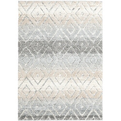 Hadorn Tapis 300x240 gris clair Vevey