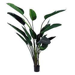 BigBuy Home Plante décorative Polyéthylène Fer Ciment Oiseaux de paradis 245 cm 120 x 120 x 245 cm