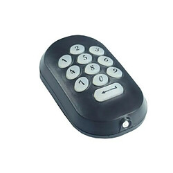 Clavier Radio - DUCATI HOME-AUTOMATION SW6500 - 1 canal, Avec plus de 3 milliards de combinaisons possibles