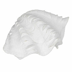 BigBuy Home Figurine Décorative Blanc Conque 14 x 7 x 10 cm