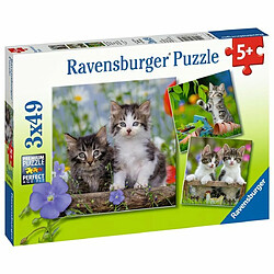 Ludendo Puzzles 3x49 pièces - Chatons tigrés