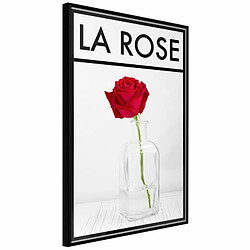 Paris Prix Affiche Murale Encadrée Rose in the Vase 20 x 30 cm Noir