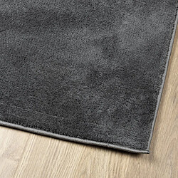 Avis vidaXL Tapis OVIEDO à poils courts anthracite 80x200 cm