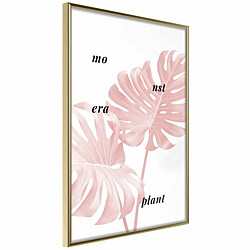 Paris Prix Affiche Murale Encadrée Pale Pink Monstera 20 x 30 cm Or