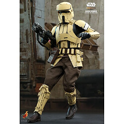 Hot Toys TMS031 - Star Wars : The Mandalorian - Shoretrooper pas cher