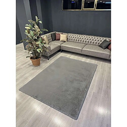 EPIKASA Tapis de Salon Rectangulaire Plush