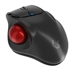 KeySonic KSM-6101RF-EGT mouse