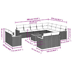 Avis vidaXL Salon de jardin avec coussins 13 pcs noir résine tressée