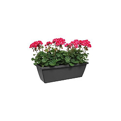 ELHO soucoupe ronde pot de fleur 28 cm mûre voil