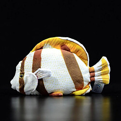 Universal Peluche poisson tropical