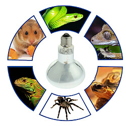 spectre complet plante reptile pour animaux de compagnie se chauffant uva uvb lampe chauffe-ampoule