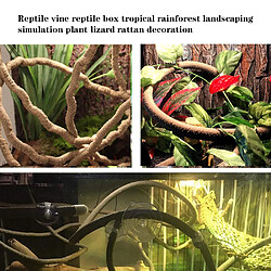 Universal Habitats de reptiles Décoration de lézards Caméléons Boîte de reptiles Forêts tropicales Paysages Simulations Plantes Vignes Simulations Vignobles | Habitat Decoration pas cher