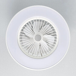 Ledkia Ventilateur de Plafond Silencieux Dhalia Blanc 58cm Moteur DC Blanc pas cher