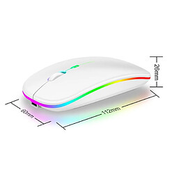 Avis Yonis Souris RGB Sans Fil Bluetooth Haute Précision