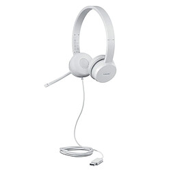 Casques avec Microphone Lenovo GXD1E71385 Gris