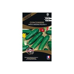 Sanrival Graines potagères premium concombre Picolino mini snacking Picolino mini snacking