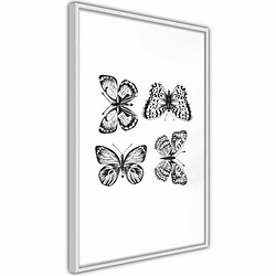 Paris Prix Affiche Murale Encadrée Butterfly Collection IV 30 x 45 cm Blanc