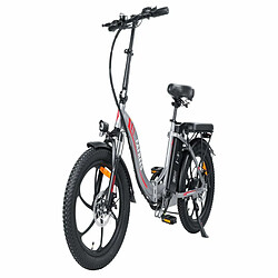 Acheter Vélo Électrique FAFREES F20 - 250W Batterie 576WH Autonomie 70KM - Gris