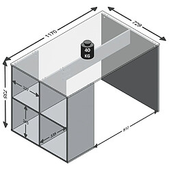 FMD Bureau avec étagères latérales 117 x 72,9 x 73,5 cm Blanc pas cher