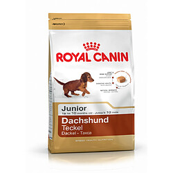 Royal Canin Race Dachshund-Teckel Junior