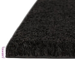 Acheter vidaXL Tapis de porte noir 40x60 cm fibre de coco touffeté