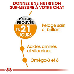 Avis Royal Canin Chat Hair & Skin Care