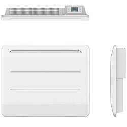 Radiateur à inertie